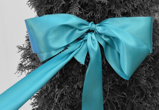 Eröffnung der landquarter mäss am 21. Oktober 2022 in Landquart (Graubünden)